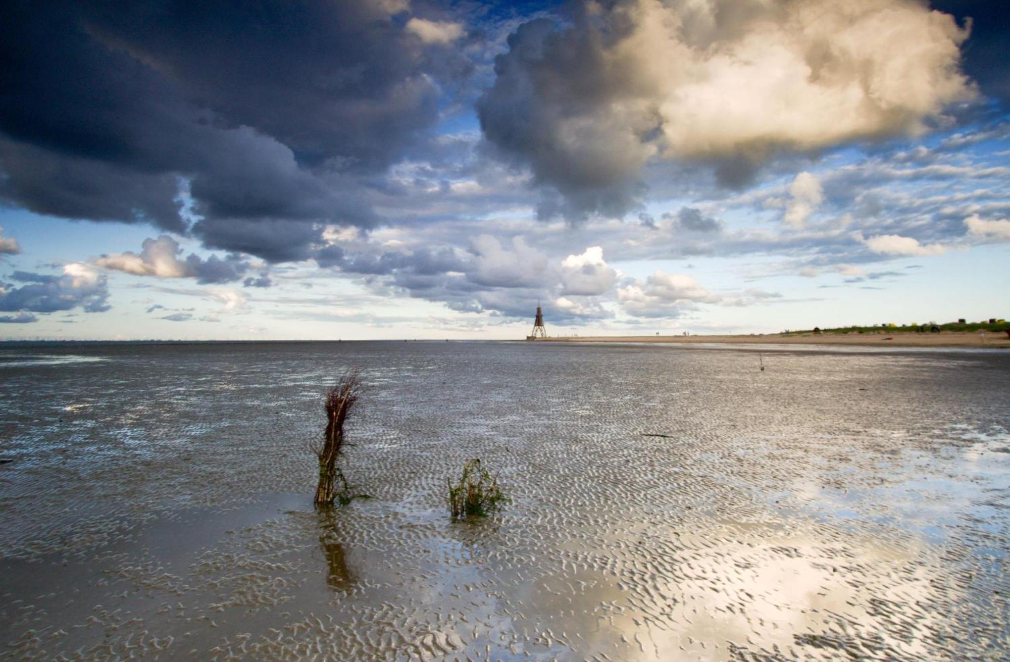 Haus Elbe Doese Wohnung 12A Cuxhaven Bagian luar foto